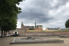 IMG_7488