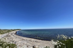 IMG_1245