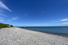 IMG_5589