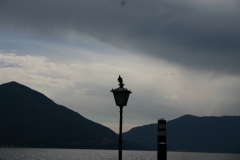 Lago_Alex__142