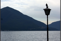 Lago_Alex__143
