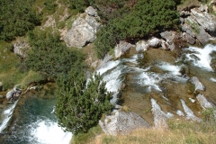 Stilfs2003_44