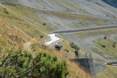 Stilfs2003_48