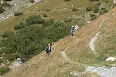 Stilfs2003_53