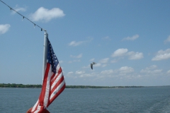 USA_04_142