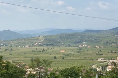 IMG_2850