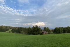 IMG_3003