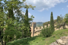 IMG_6610
