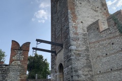 IMG_6617